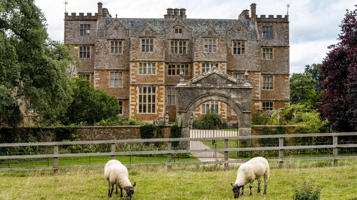 Sheep grazing in a field in front of the house at Chastleton, Oxfordshire